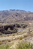 The Colca Valley is one of the most intensively terraced regions in the Andes 